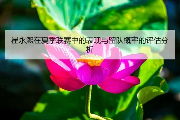 崔永熙在夏季联赛中的表现与留队概率的评估分析