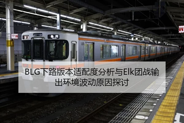 BLG下路版本适配度分析与Elk团战输出环境波动原因探讨